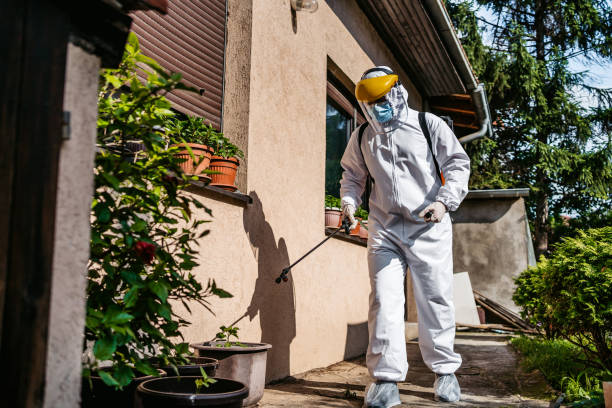 Reliable Bal Harbour, FL Pest Control Solutions