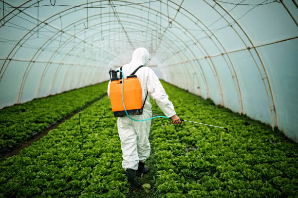 Best Commercial Pest Control Services  in Bal Harbour, FL