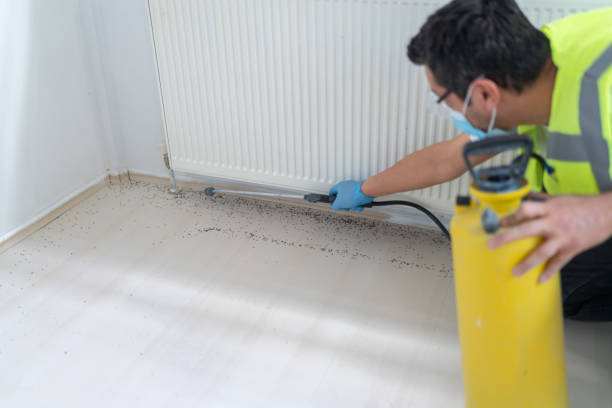 Best Flea Control Services  in Bal Harbour, FL